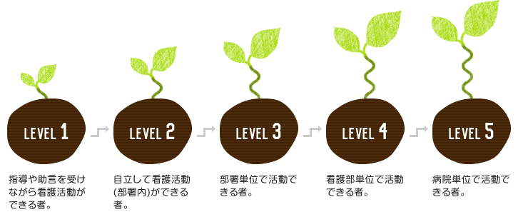 キャリア開発ラダーの仕組み