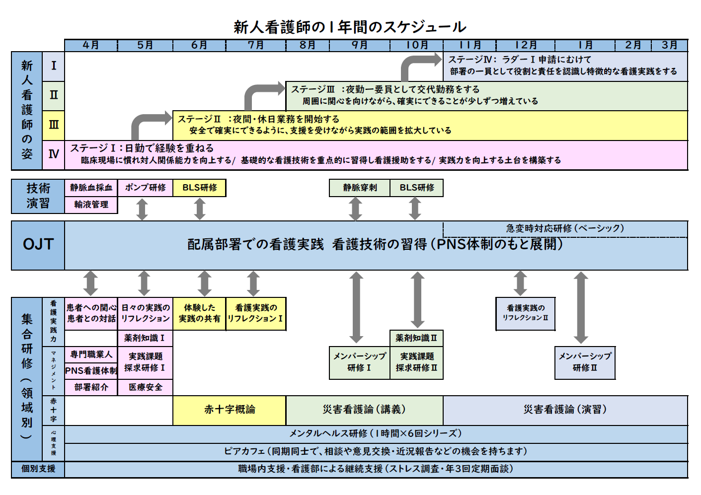 新人看護師年間スケジュール