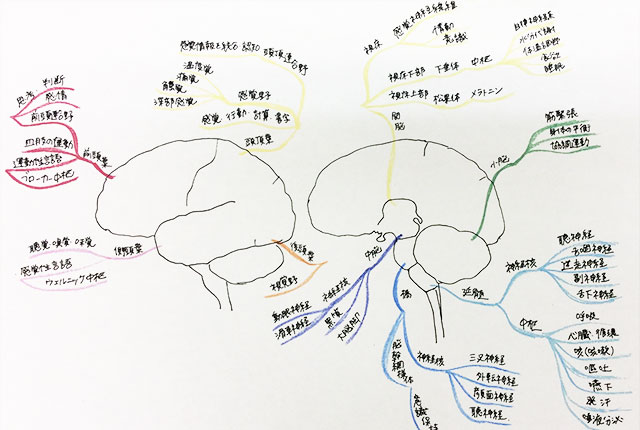 マインドマップ 1
