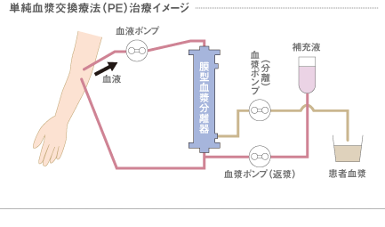 touseki_02_site