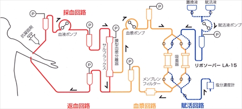 touseki_04_site